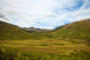 Fototapeta premium Scafell Pike over forest in the English Lake District