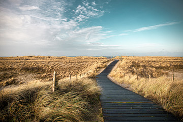 Ein Holzweg durch goldenes Gras auf einer düne richtung meer unter türkisblauem himmel im Norden der Niederlande