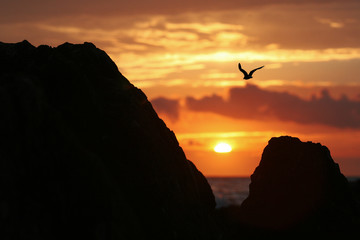 atardecer