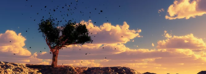 Fotobehang Betoverde Bos windswept tree and leaves  © juanjo