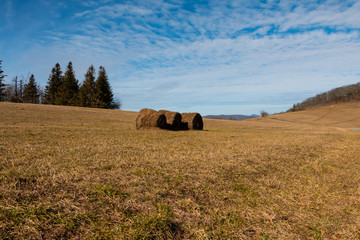 Moses Cone Memorial Park Blue Ridge Parkway North Carolina 