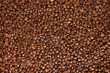 Coffee seeds, texture, natural organic dark background.