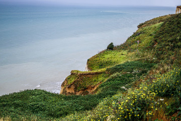 Auf der Steilküste am Meer mit Moos und gras und allerhand Pflanzen bewachsen