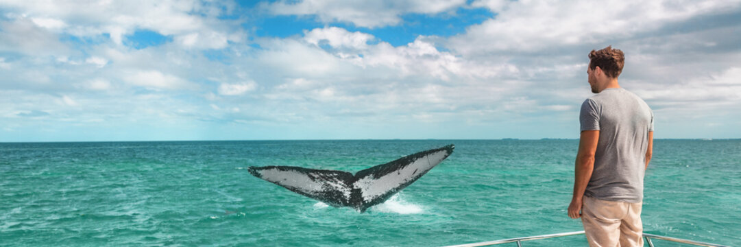 Whale watching boat tour tourist man panoramic banner background of humpback breaching flapping tail travel destination, summer vacation on deck of cruise ship.