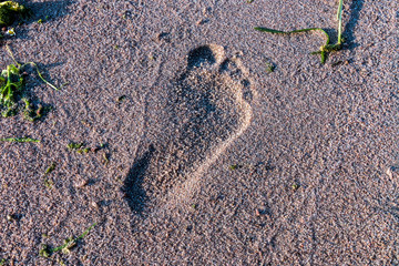 Footprints in the Sand
