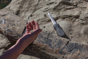 Holding the Past © tamifreed