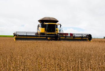 Soy harvester working on a farm