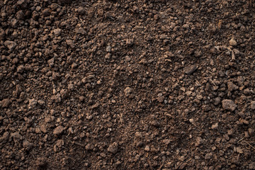 Fertile loam soil suitable for planting, soil texture background.