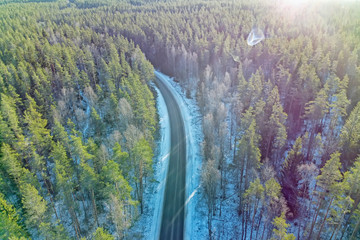 Road in winter forest lit by the sun