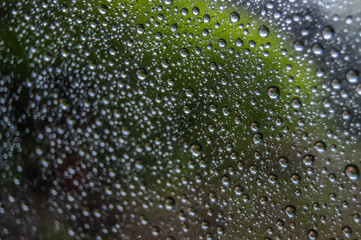 Abstract rain drops pattern on glass window of car with green reflection of plant