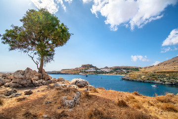 Fototapeta na wymiar Alone tree with rocks, village and Acropolis of Lindos in background (Rhodes, Greece)