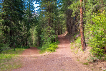 Rocky Mountains. Mountain Trail in Cascades National Park, Washington, USA.