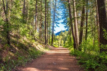 Rocky Mountains. Mountain Trail in Cascades National Park, Washington, USA.