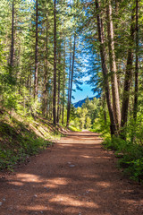 Fototapeta premium Rocky Mountains. Mountain Trail in Cascades National Park, Washington, USA.