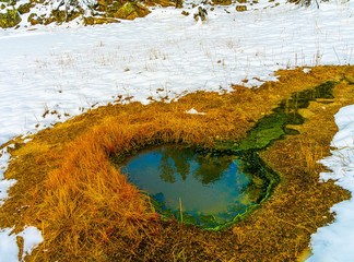 LOWER GEYSER BASIN, YELLOWSTONE
