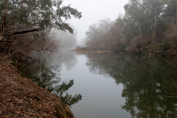 Putah Creek in Davis, California, USA, on a foggy morning, University