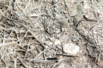 Stone texture and background. Rock mineral exclusive unique texture