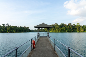  pier on MacRitchie Reservoir