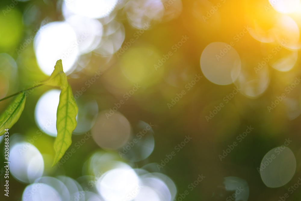 Sticker closeup nature view of green leaf on blurred greenery background in garden with copy space using as 