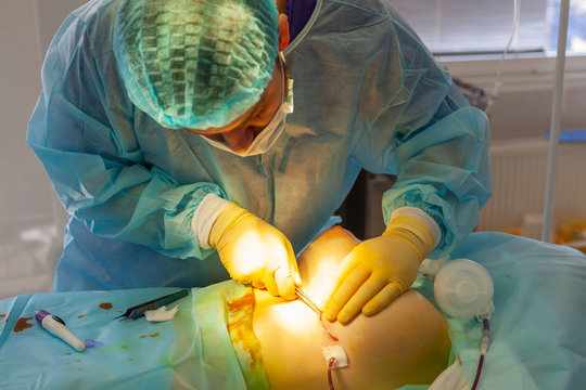 Hospital. Surgeon operates in the operating room. The doctor finishes the plastic surgery by checking the suture with special tools