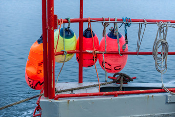 Colorful floats stand out in early evening on the waterfront