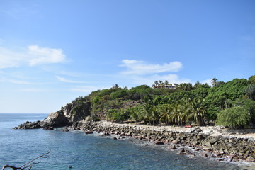 Bosque con rocas se encuentra con el mar