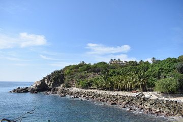Bosque con rocas se encuentra con el mar