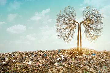 Lung tree grows between Mountains of Trash. In unreal surreal environment garbage nature pollution...