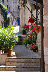 Assisi Landscapes