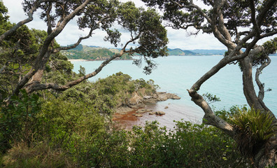 Whale Bay, Beautiful Beach Near Whangarei New Zealand