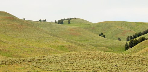 rural landscape with green field and blue sky