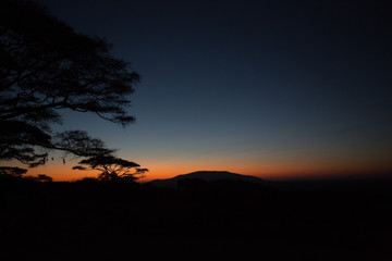 Fototapeta na wymiar Tanzanian night.