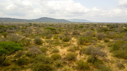 Naklejka premium African landscape.Tanzania