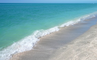 Shells on the beach by the sea in Sanibel Island, Florida