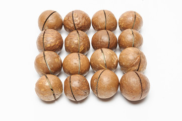 dried Macadamia nuts on white background