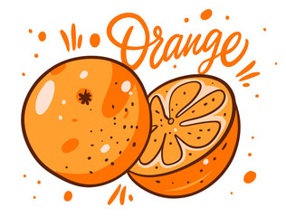 A hand-drawn vector art illustration of an orange, created with a handmade style, showcasing the vibrant colors and texture of the fruit.