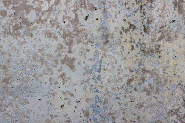 Savoy cabbage is cut. close-up shows a cut. clearly visible texture of cabbage