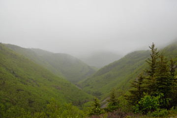 Hills covered with green forest and farthest of them disappear in the fog.