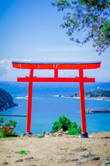 Torii