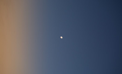 Moon