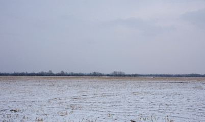 Russia. Snow-covered winter field in the Far East
