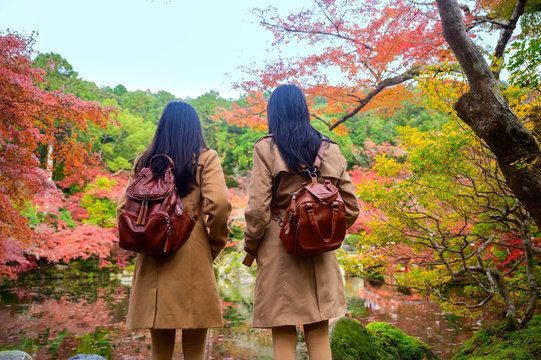Women traveller tourist enjoy and happiness to see the scenery view of autumn village in Japan countryside, Autumn season change blooming on popular and famous place for tourist visit Japan