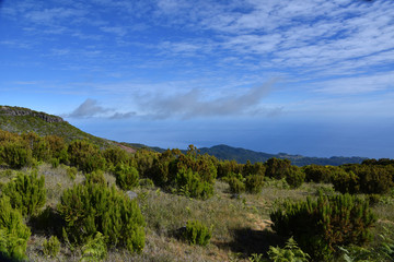 Obraz premium Landscape of green mountains of Madeira Island - view from the trial to Pico Ruivo.
