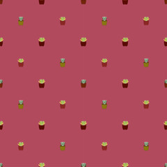 seamless vector pattern of succulent and cactus. illustration for fabric, textile, print, wrapping and wallpaper.