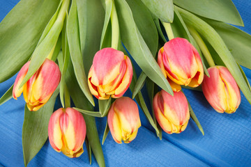 Fresh tulips as surprise for Valentines Day, birthday or other occasions