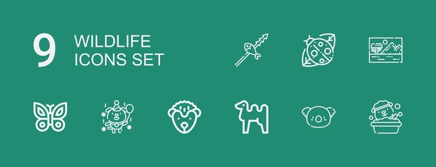 Editable 9 wildlife icons for web and mobile