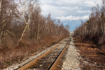 Fototapeta premium endless railroad under cloudy sky with dense leafless trees on both sides