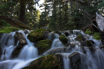 Obraz premium waterfall in forest