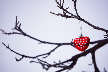 Red heart spotted ornament for Valentine's Day hanging on outdoor tree on cloudy day