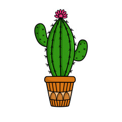 Illustration of an Unspoiled Green Cactus